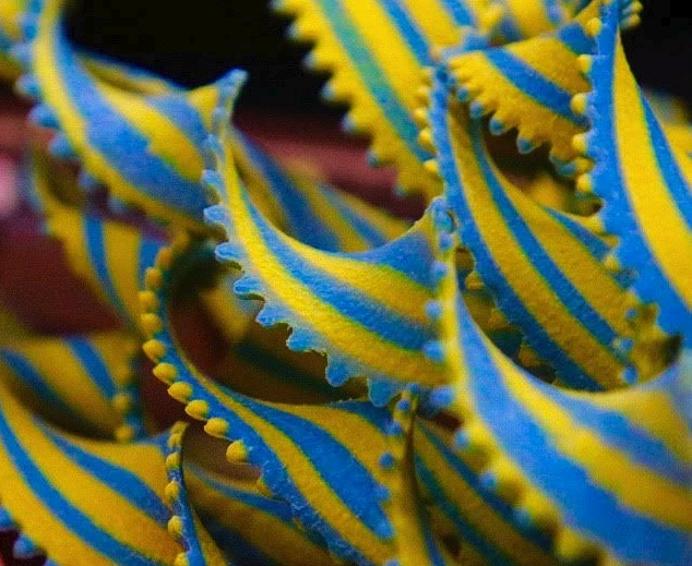 Screen Shot 2020-10-01 at 7.59.40 PM