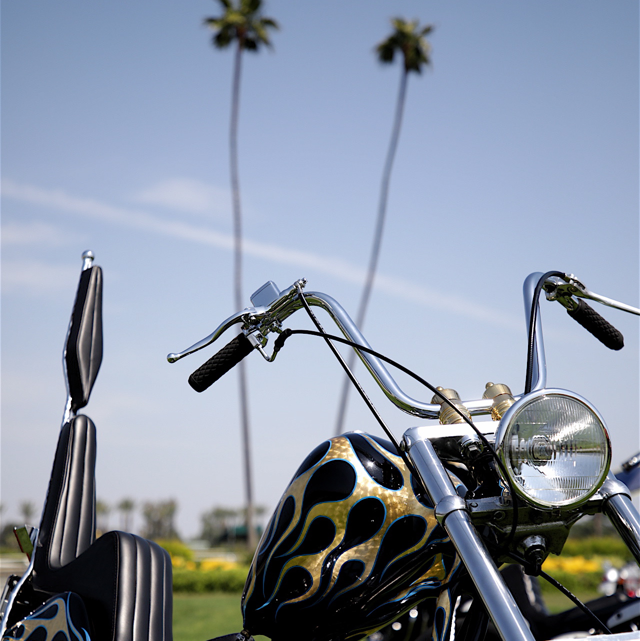 4F9A5938_2_2 gallery