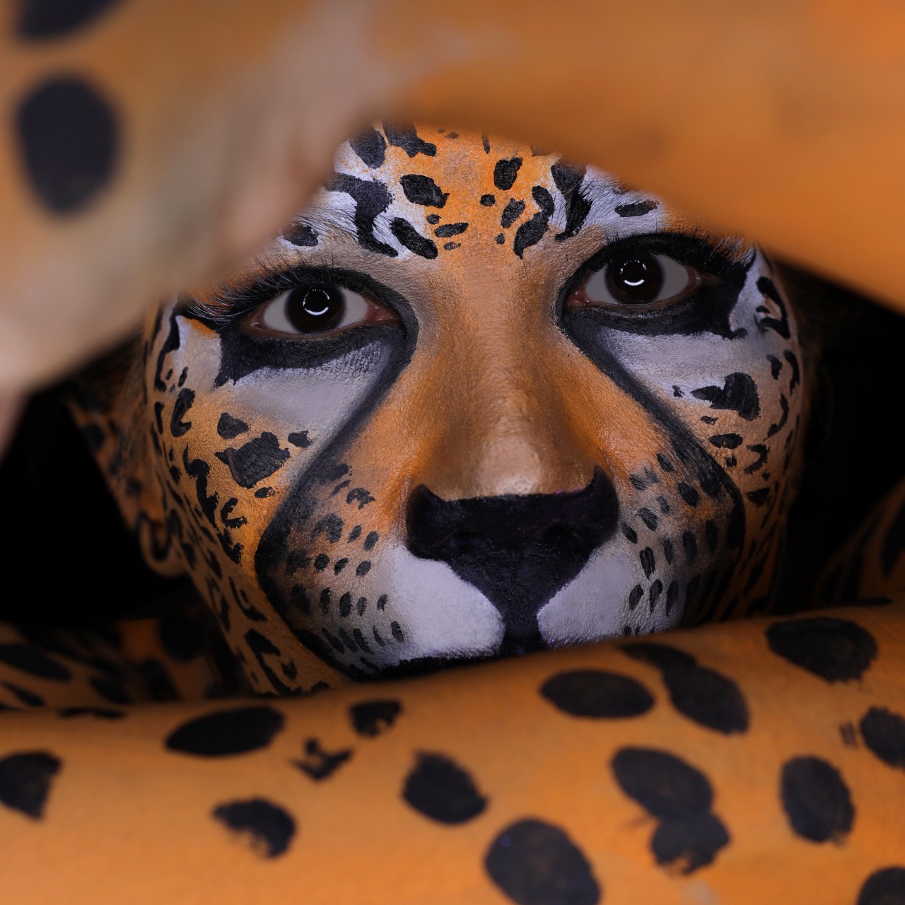 Peek a Boo_2 gallery